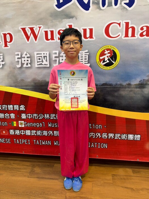 2026年台灣世界盃武術錦標賽