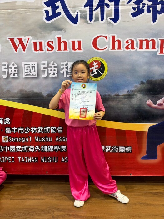 2026年台灣世界盃武術錦標賽