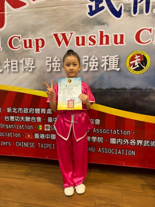 2026年台灣世界盃武術錦標賽